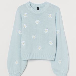 H&M Light Blue Embroidered Sweater